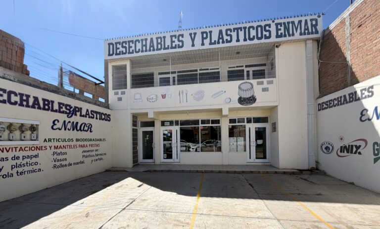 Imagen 20 10 25 a las 12.11 p.m 768x464